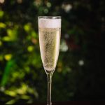Champagne (glass)